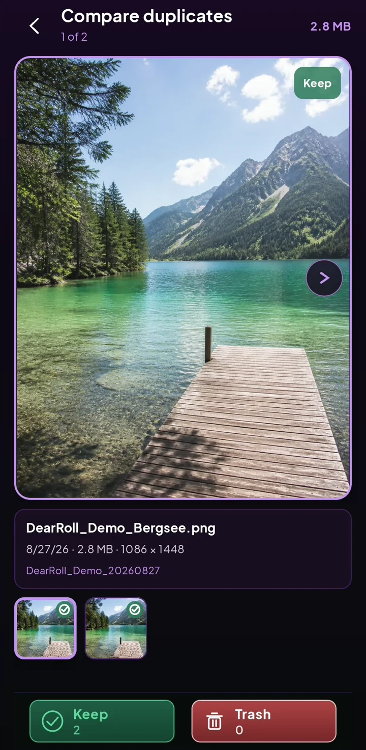 DearRoll duplicate comparison with the mountain lake photo marked to keep