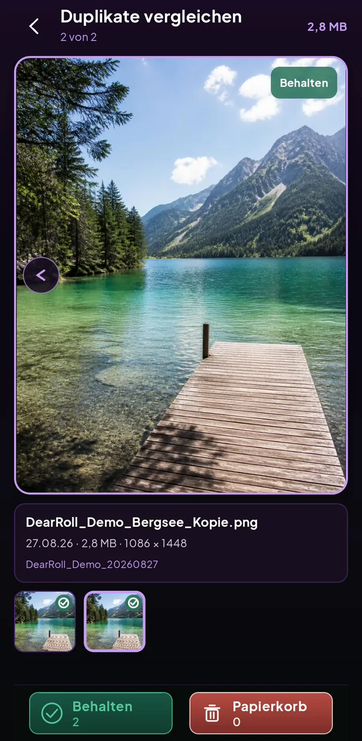 DearRoll-Duplikatvergleich mit dem zum Behalten markierten Bergsee-Foto